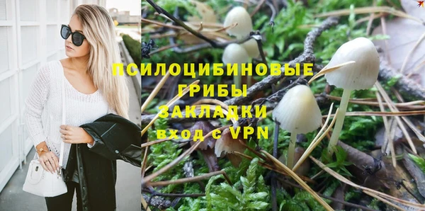 наркотики Приозерск