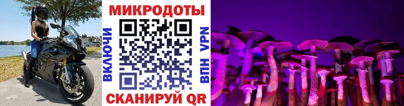 Галлюциногенные грибы Magic Shrooms  Тольятти 
